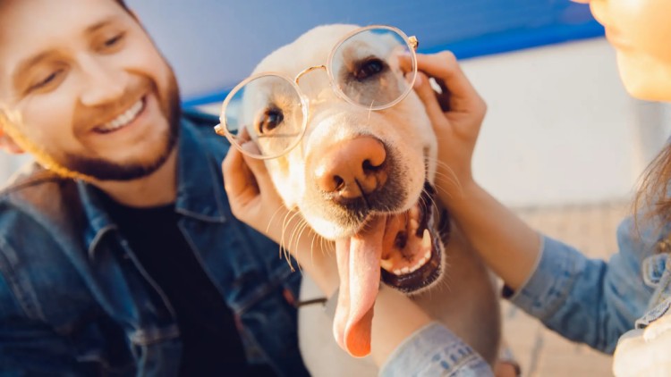 1736327854131639.jpg dog-12.jpg